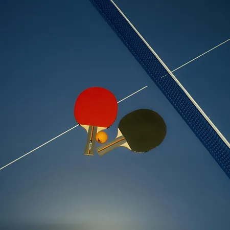 B&B Cozy With Terrace, Ping Pong & Billiard Table *