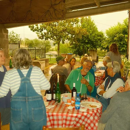 Cozy With Terrace, Ping Pong & Billiard Table Bed and breakfast